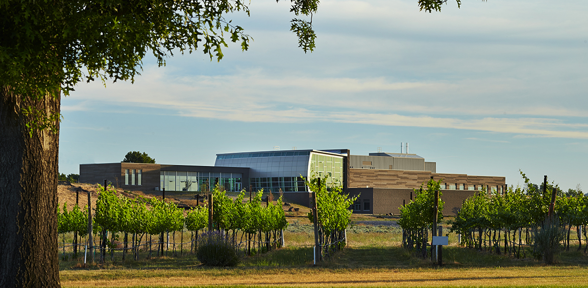 Washington State University Wine Science Center 5