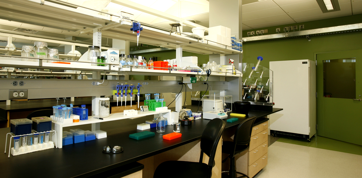 Washington State University Biotechnology/Life Sciences 2