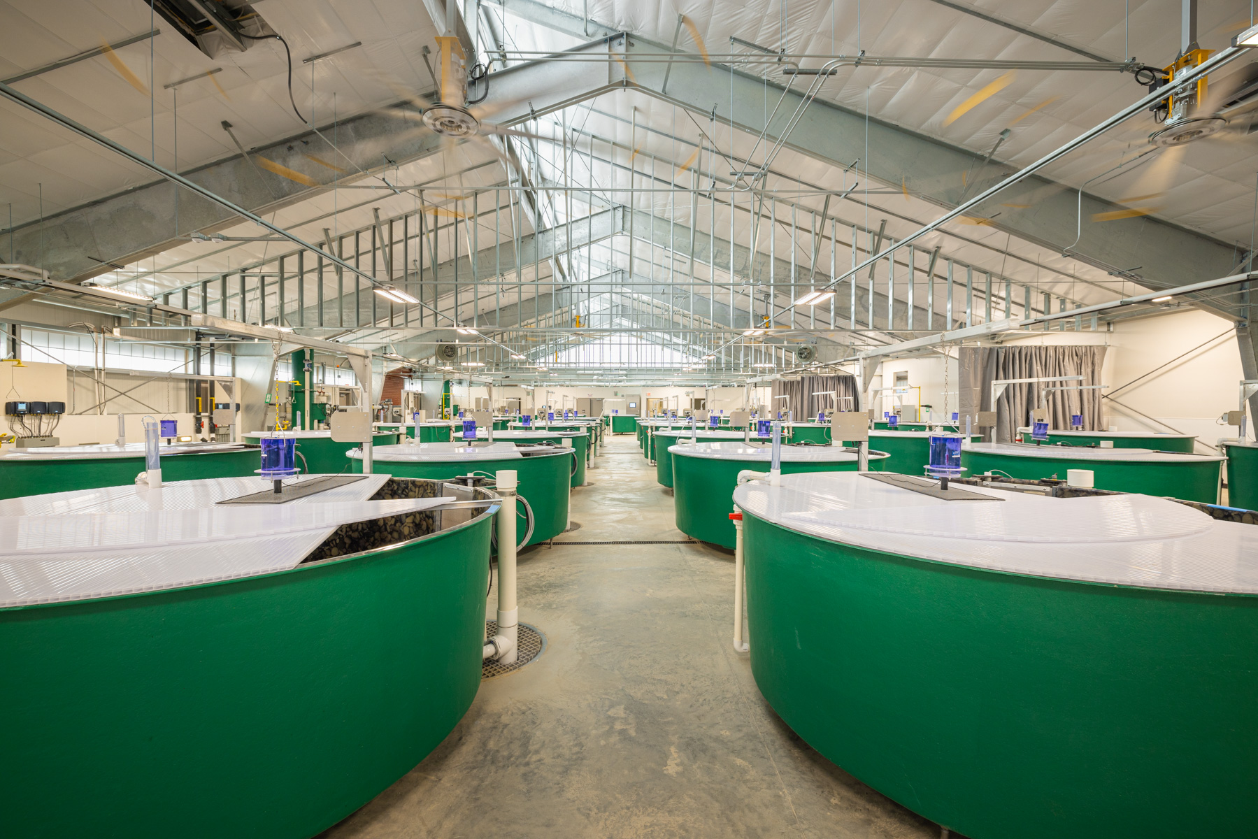 Native Salmonid Conservation Facility – Usk Fish Hatchery 5
