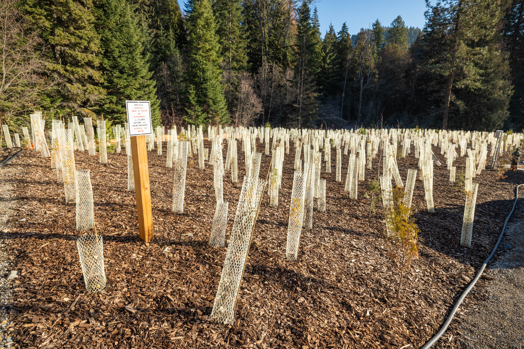 Native Salmonid Conservation Facility – Usk Fish Hatchery 7